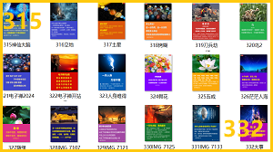 【电子禅特辑】